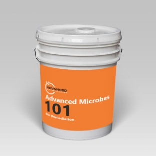 Advanced Microbes 101