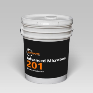 Advanced Microbes 201