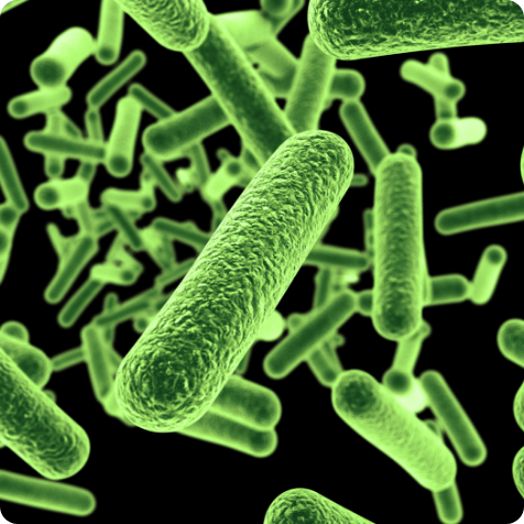 What is Advanced Microbes 101 (AM-101)?