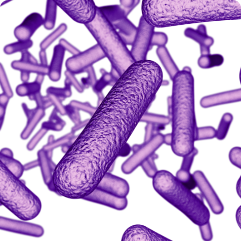 What is Advanced Microbes 201 (AM-201)?