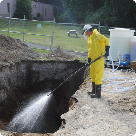 Biological Cleanup That Goes Beneath the Surface