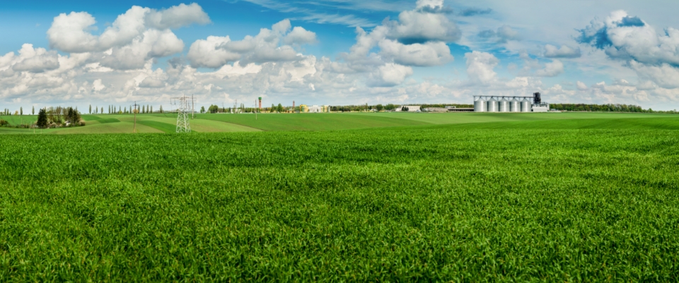 Saltwater Cleanup & Soil Remediation